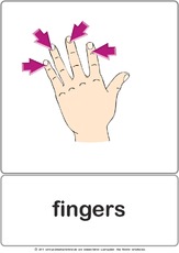 Bildkarte - fingers.pdf
